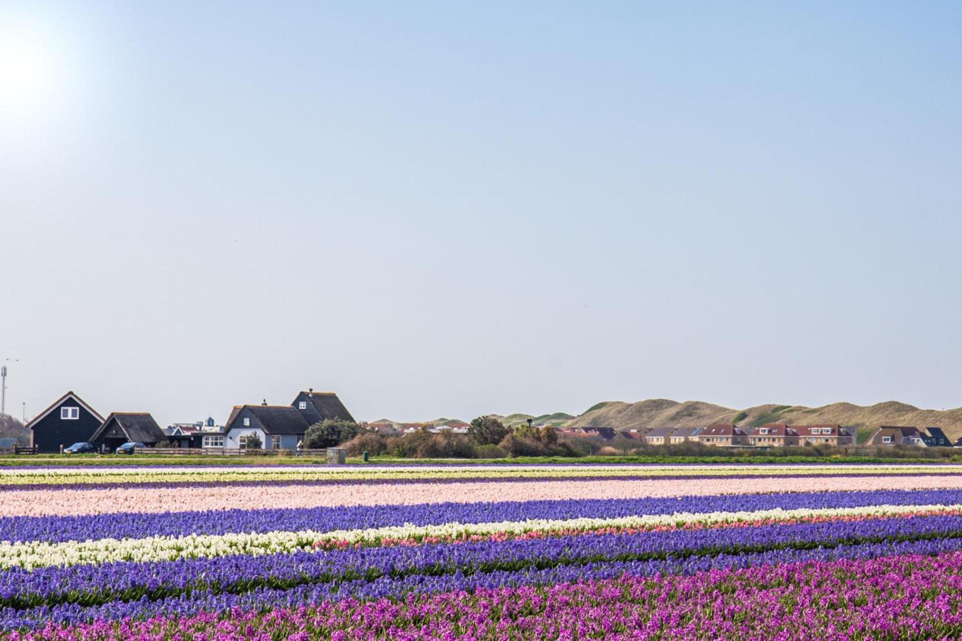 Vakantiehuis Zilt - Julianadorp Aan Zee Екстер'єр фото